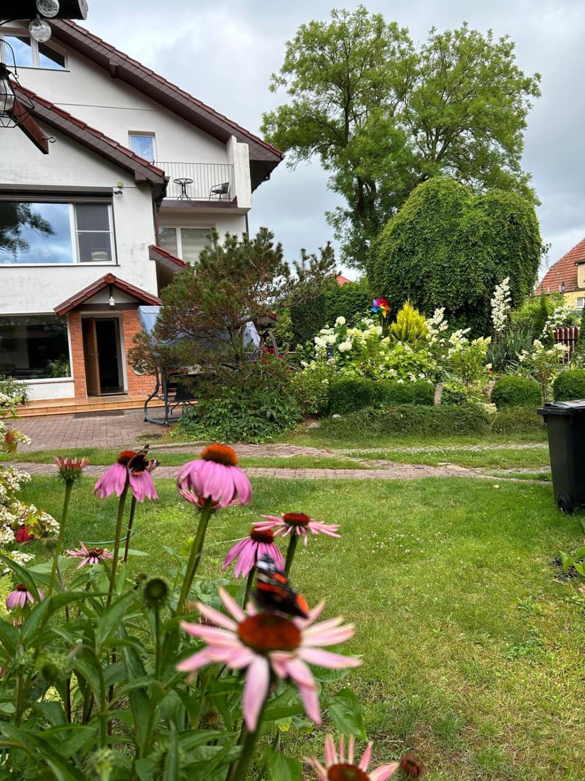 Villa Mielno-Eko Mielno  Eksteriør billede
